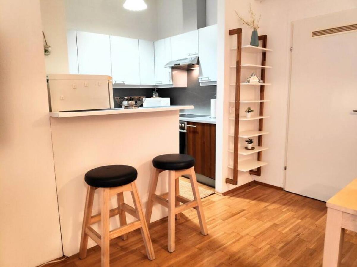 Nd Exquisites Wundervolles Ruhiges Terrassenapartment Mit Garage Vídeň Exteriér fotografie